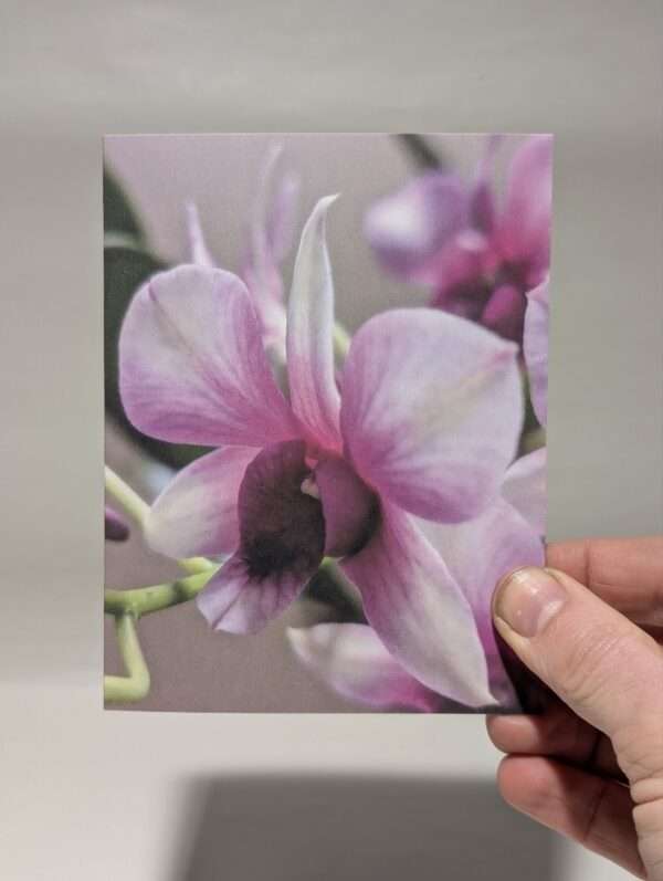 Set of six orchid greetings cards - Image 8