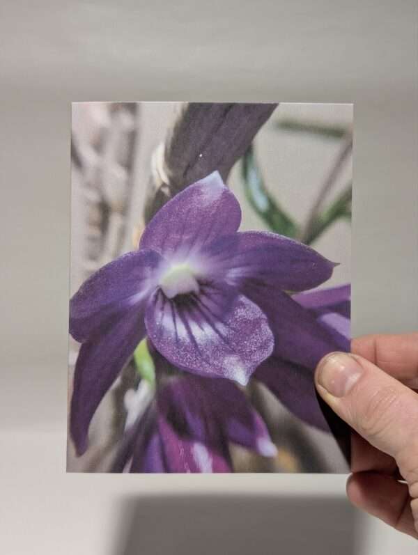 Set of six orchid greetings cards - Image 7