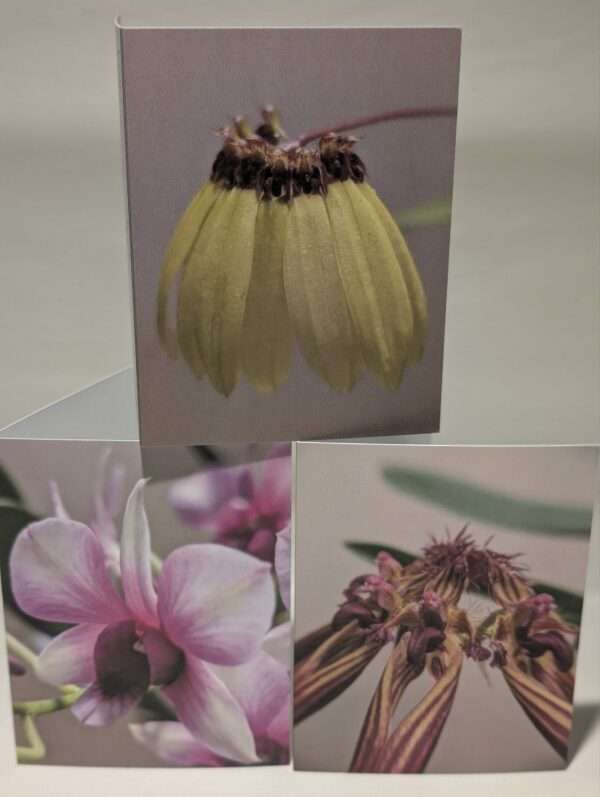 Set of six orchid greetings cards - Image 2