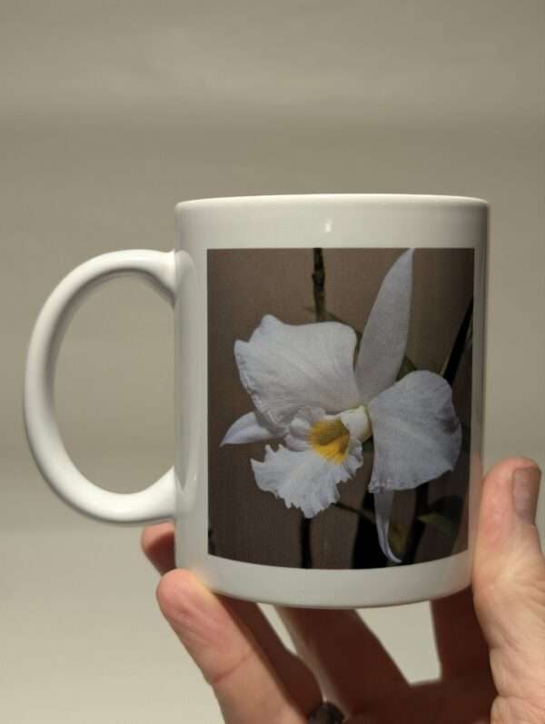 Dendrobium infundibulum Mug